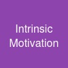 Intrinsic Motivation