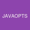 JAVA_OPTS