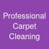 Professional Carpet Cleaning