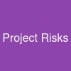 Project Risks