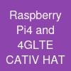 Raspberry Pi4 and 4G-LTE CAT-IV HAT