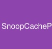 SnoopCacheProtocols