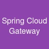 Spring Cloud Gateway