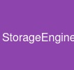 StorageEngine