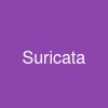 Suricata