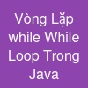 Vòng Lặp while (While Loop) Trong Java