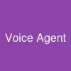 Voice Agent