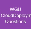 WGU Cloud-Deployment-and-Operations Questions