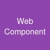 Web Component