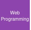Web Programming