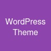 WordPress Theme