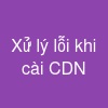 Xử lý lỗi khi cài CDN