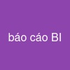 báo cáo BI