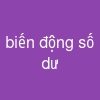 biến động số dư