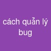 cách quản lý bug