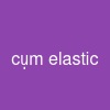 cụm elastic