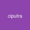 ciputra
