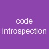 code introspection