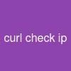 curl check ip