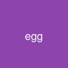 egg