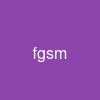 fgsm