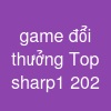 game đổi thưởng Top sharp1 202