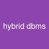 hybrid dbms
