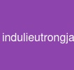indulieutrongjava