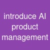 introduce AI product management