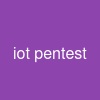 iot pentest