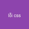 lỗi css