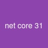 .net core 3.1