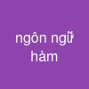 ngôn ngữ hàm