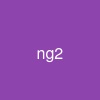 ng2