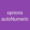 oprions autoNumeric