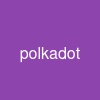 polkadot