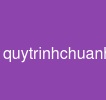 quytrinhchuanhoadulieu