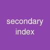 secondary index