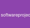 software-project-lifecycle