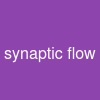 synaptic flow