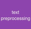 text preprocessing