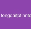 tongdaifptinnternet