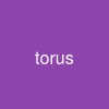 torus