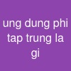 ung dung phi tap trung la gi