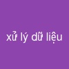 xử lý dữ liệu