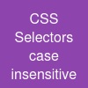 CSS Selectors case insensitive