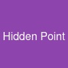 Hidden Point