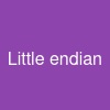 Little endian