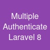 Multiple Authenticate Laravel 8