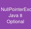 NullPointerException Java 8 Optional